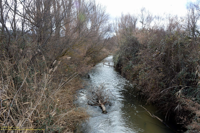 torrebaja-turia-puente-palanca