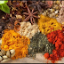 Best Herbs and Spices for Mindfulness