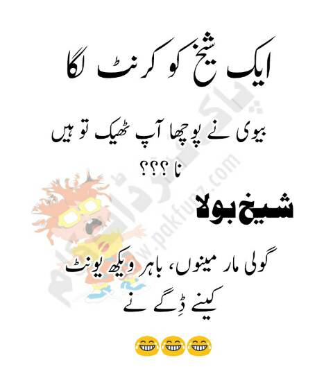  Funny  Inspiring Jokes  in Hindi Urdu  with Images Diary 
