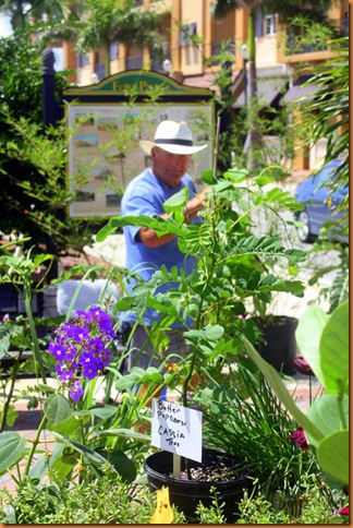 farmersmarket 032-1