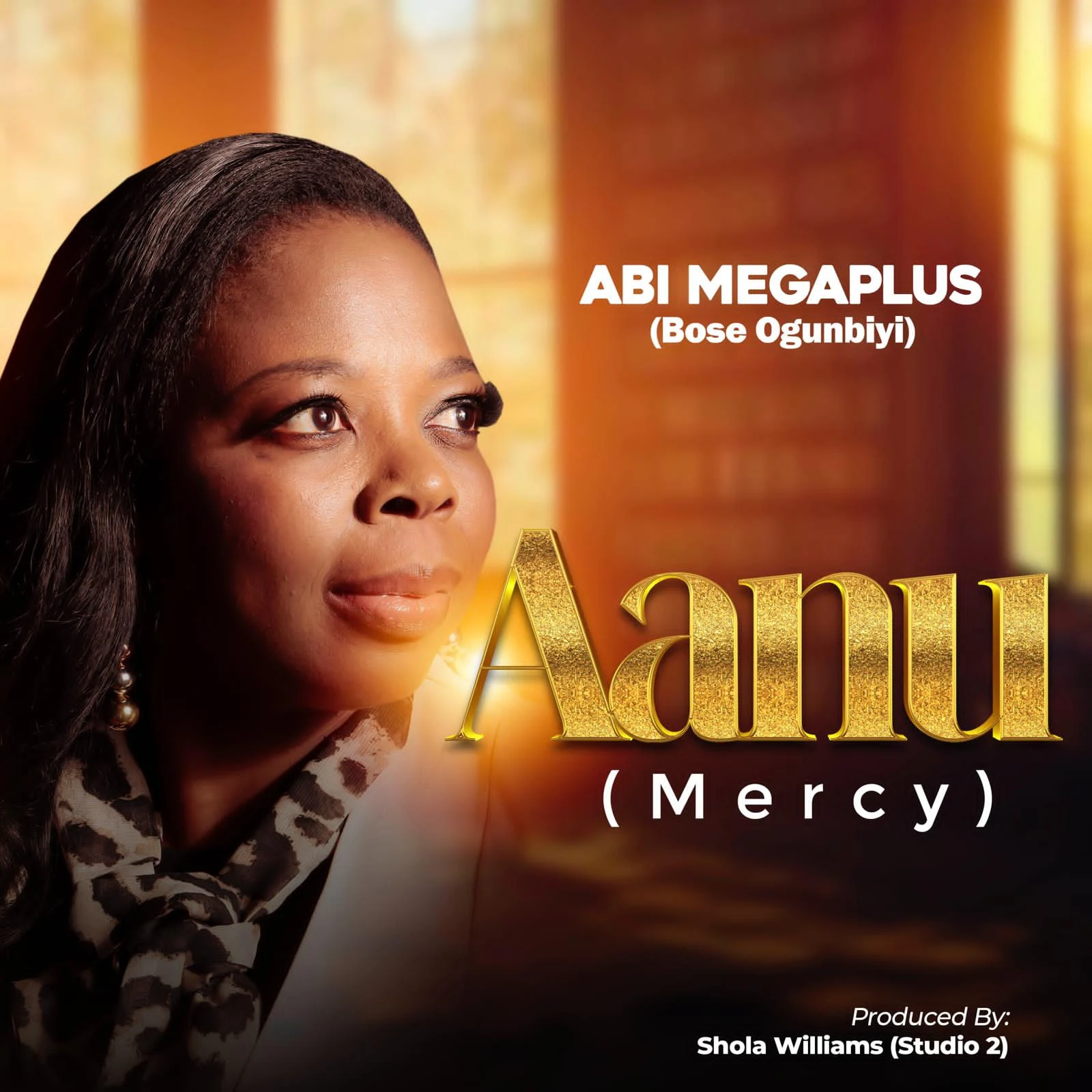 Aanu - Abi Megaplus