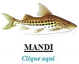 Peixe, Mandi