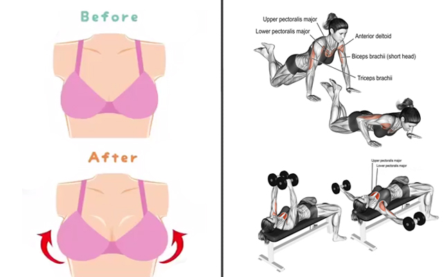 6 Best And Effective Exercises To Lift Breasts Naturally