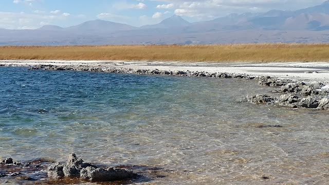 salty lagoon in the Atacama