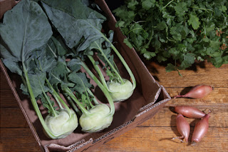 Still life image of vegetables sourced in the local area. 