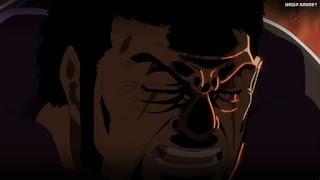 ワンピースアニメ ドレスローザ編 699話 海軍大将 藤虎 イッショウ Fujitora | ONE PIECE Episode 699