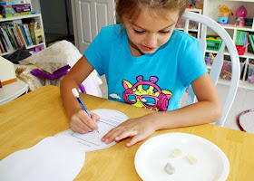Tessa examined the inside of a lima bean seed (soaked overnight to soften it) up close. Noting its seed coat and then the small shoot and food inside, she sketched what she observed. Afterward, she compared the seed to others of various types to see whether all seeds contain the same parts.