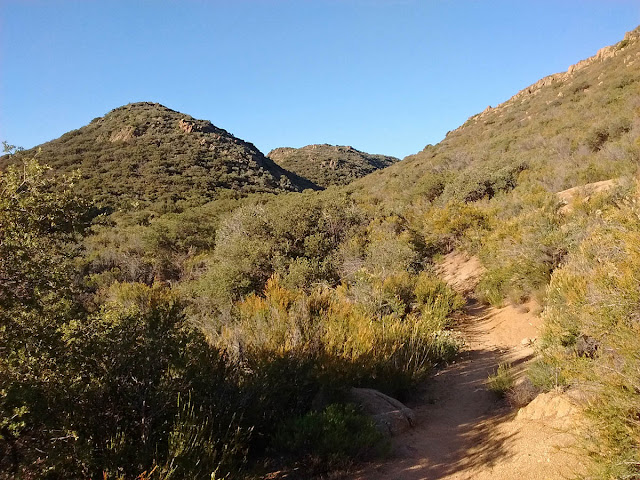 Pacific Crest Trail on Kitchen Creek