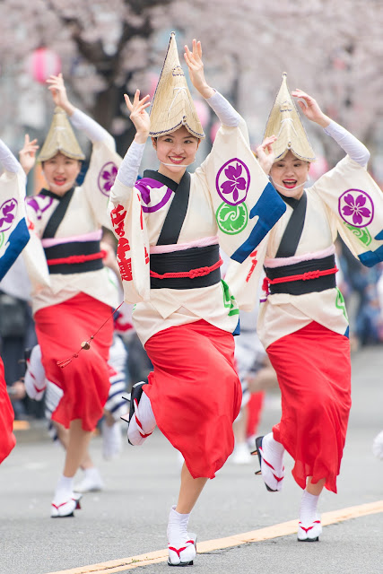 せいせき桜まつり、桜が咲く中阿波踊りを踊る女性の写真