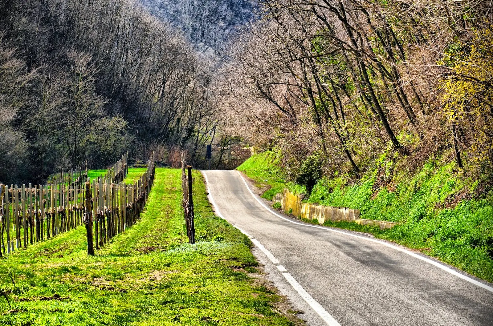 cycling veneto italy