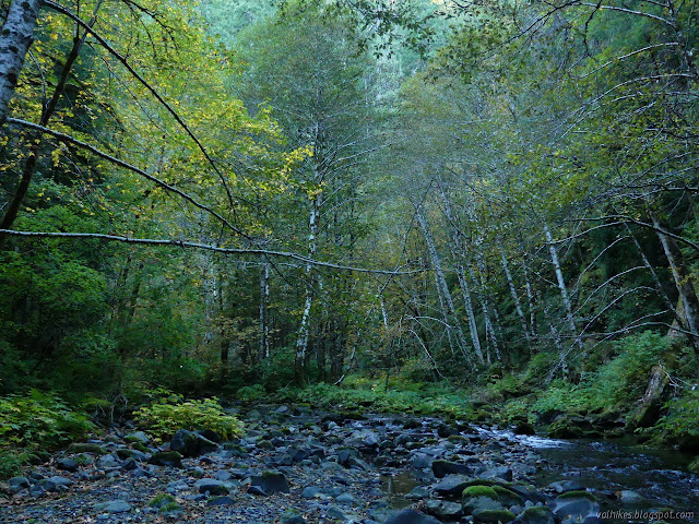 creek below the camp site