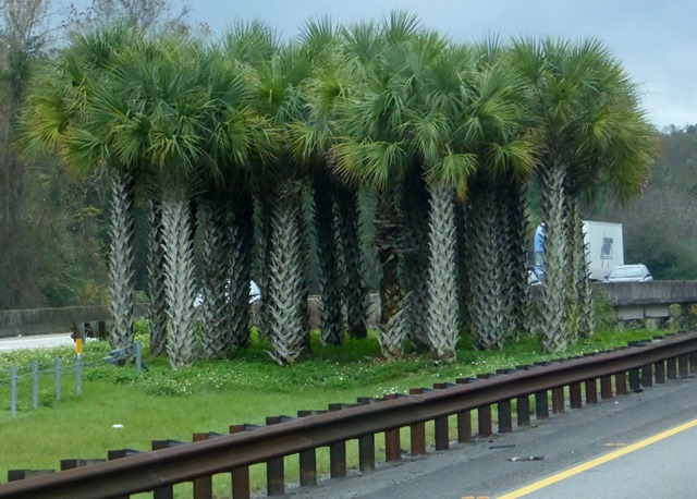P1090316