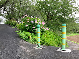 本戸輪中堤　あじさいロード　岐阜県安八郡