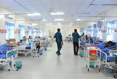lassa fever disease death toll nigeria