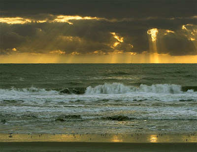 El Poder del Oceano