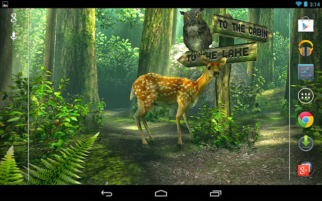 android app