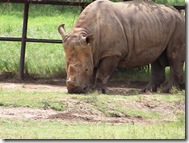 fossil rim 214