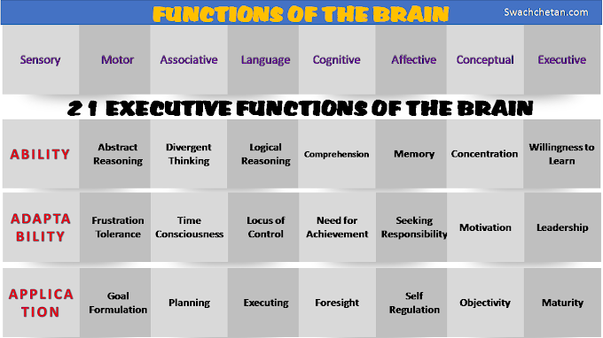 Executive Functions of the Brain