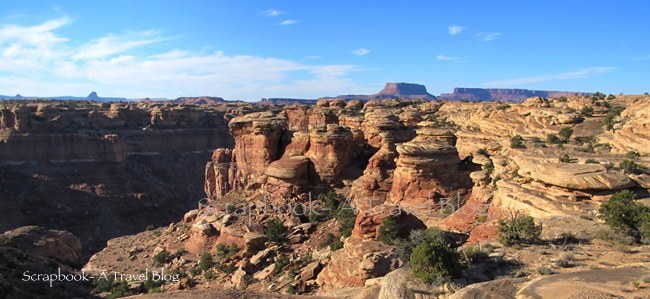 Needles in Canyonlands National Park