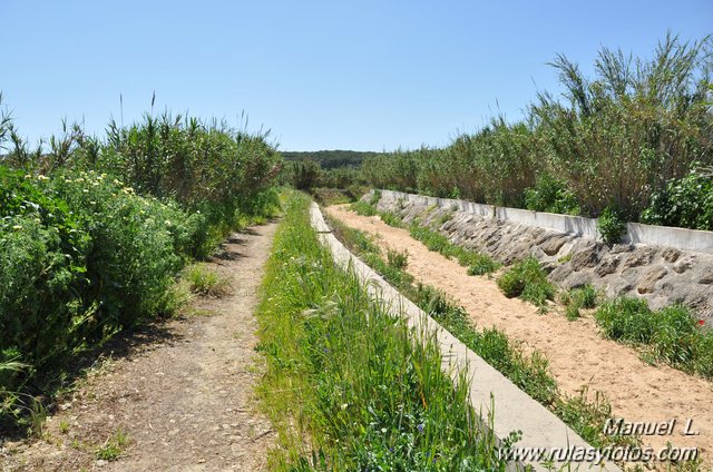 Marismas del Barbate