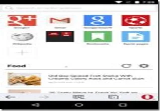 Opera Mini web browser phone