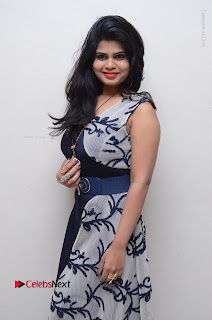 Telugu Actress Alekhya Stills in Blue Long Dress at Plus One ( 1) Audio Launch  0015.jpg