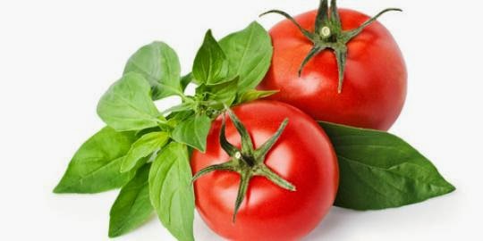  Gambar  Buah Tomat Segar Aku Buah Sehat