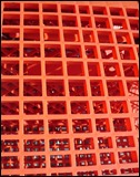 orange what is this (1)