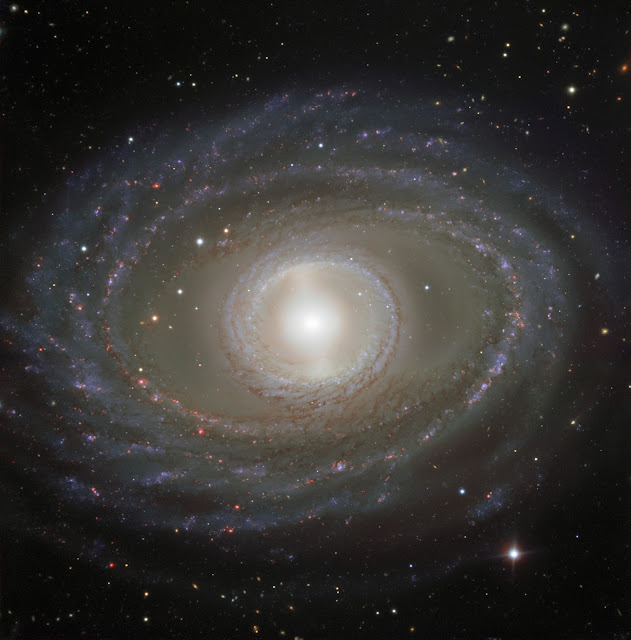 Spiral Galaxy NGC 1398