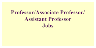 Professor/Associate Professor/Assistant Professor Jobs