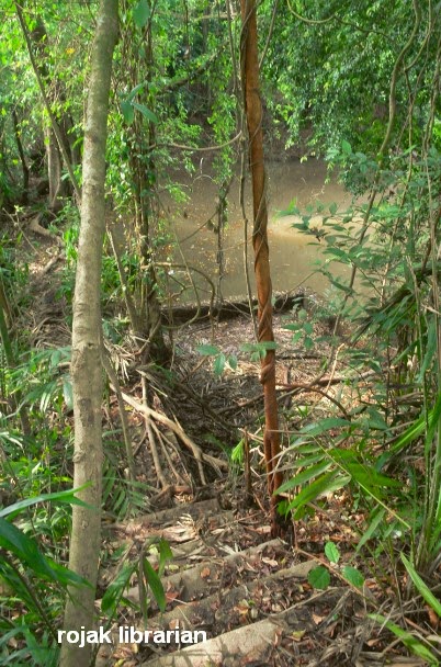 Keppel Hill Reservoir