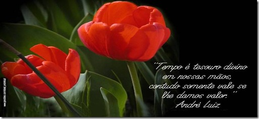 clip_image019