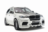 Hamann Flash EVO M