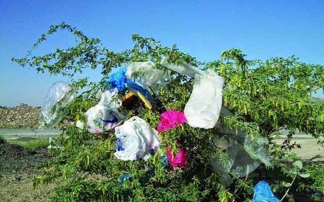  الأخطار الصحية والبيئية لاستخدام الأكياس البلاستيكية