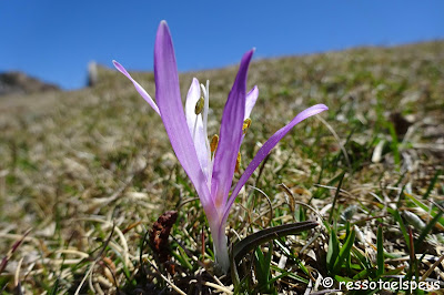 Penyes Altes per la canal de la Serp i circular al Moixeró