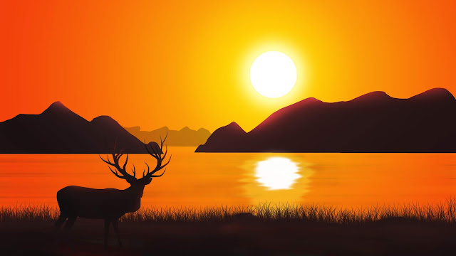 Reindeer Landscape Scenery 4k Wallpaper