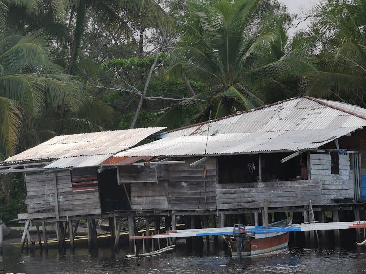  Tercemari Limbah Tambang, Nelayan Papua di Muara Kali Lagari-Nabire Semakin Sulit Mencari Ikan