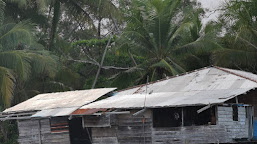  Tercemari Limbah Tambang, Nelayan Papua di Muara Kali Lagari-Nabire Semakin Sulit Mencari Ikan