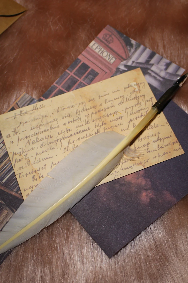 a quill on top of a small old journal