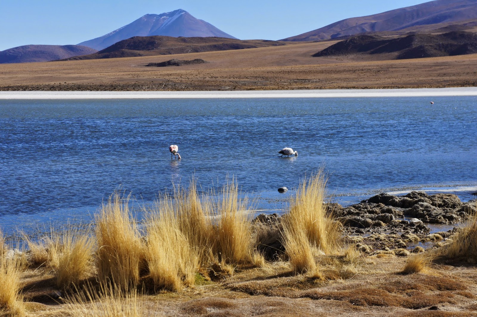 SALAR DE UYUNI