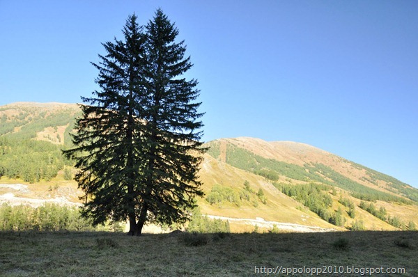 2010-09-07__18_34_3700__Raymond