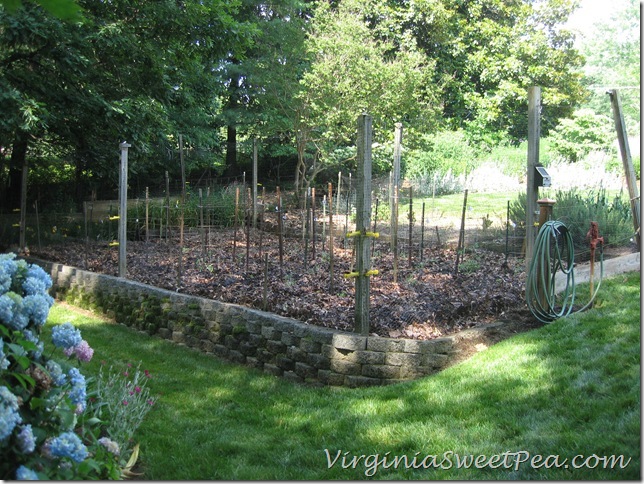 Planted Garden2