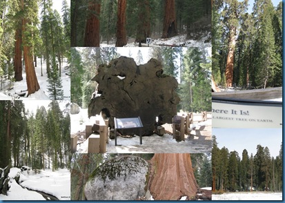 California5
