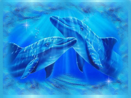 Love of Dolphins Pictures