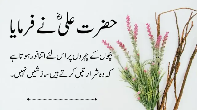 20+ Best Quotes Of Hazrat ALI (R.A)