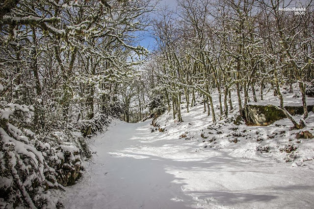 Resultado de imagem para montalegre paisagens