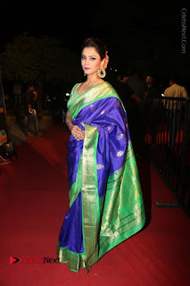 Actress Adah Stills in Blue Silk Saree at Gemini TV Puraskaralu 2016 Event  0116.JPG