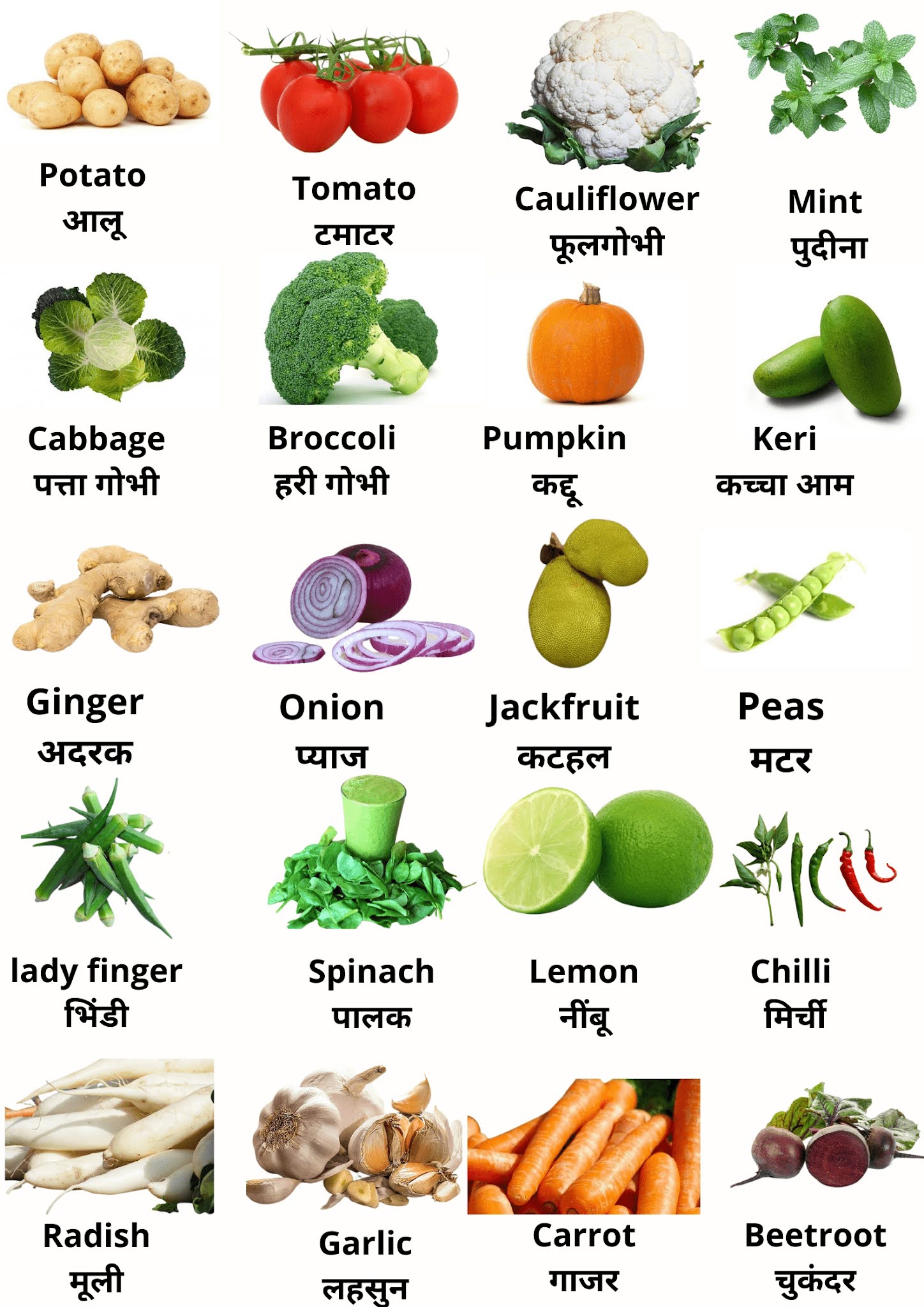 20 Vegetables name in Hindi & English : सब्जियों के नाम हिंदी और अंग्रेजी में