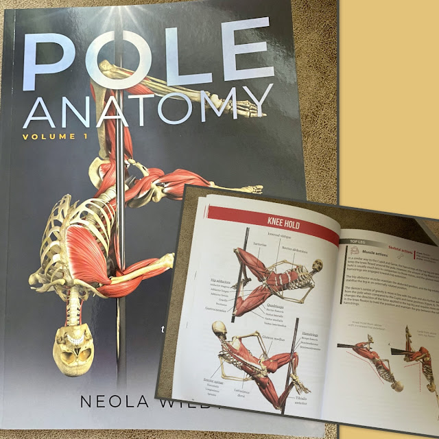 https://www.thepolept.com/pole-anatomy/