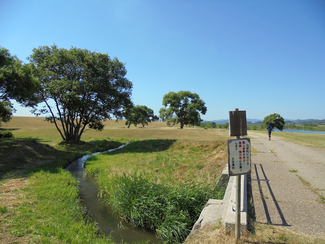 日吉津公園